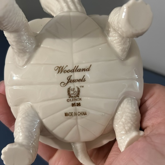 Lenox turtle - Picture 5 of 7